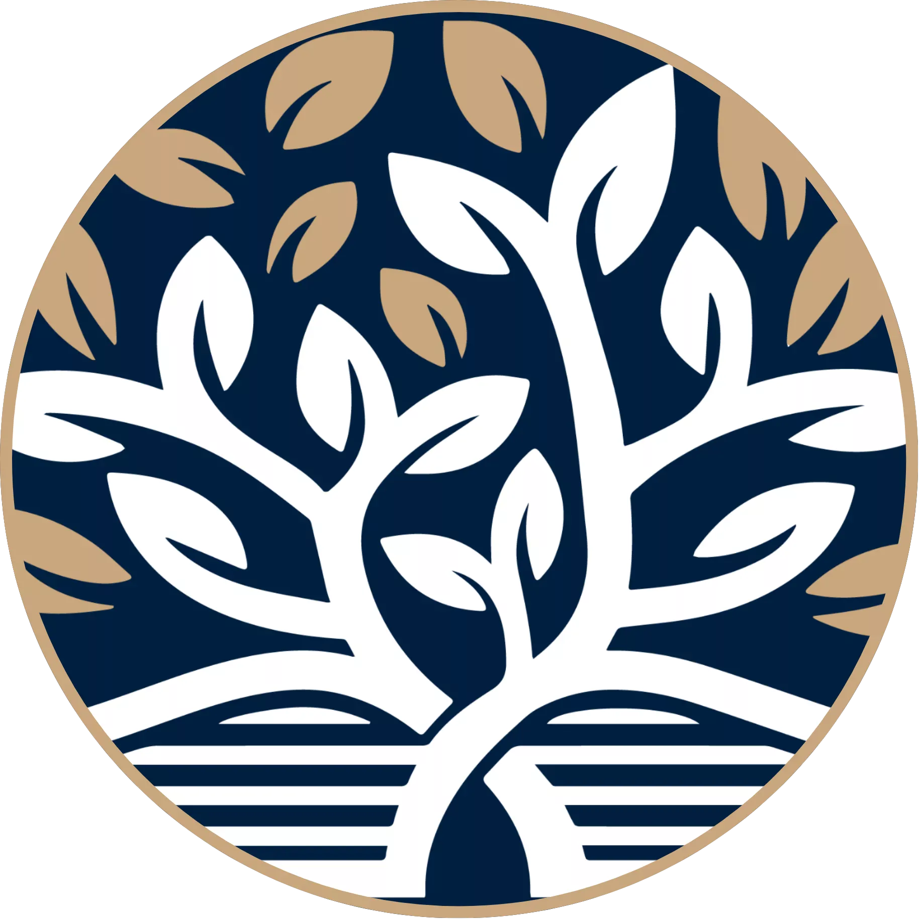 Ta'iara TUMU