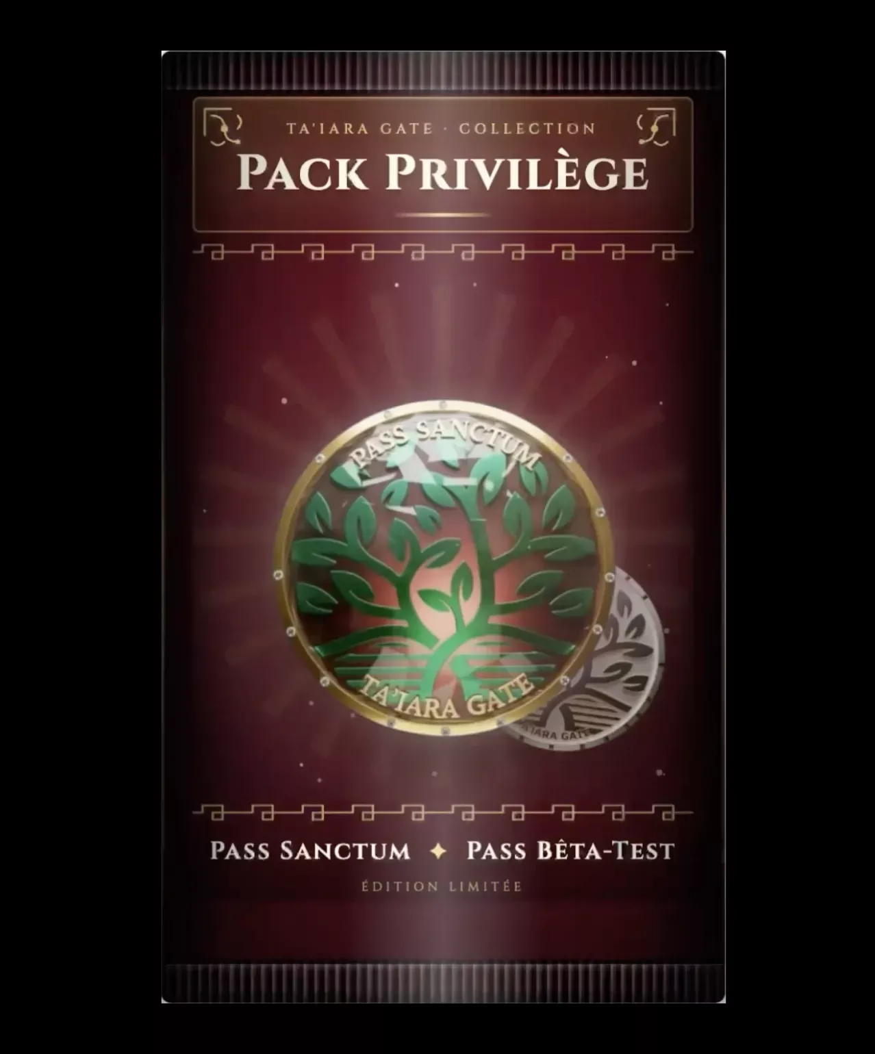 Visuel du Pack Privilège